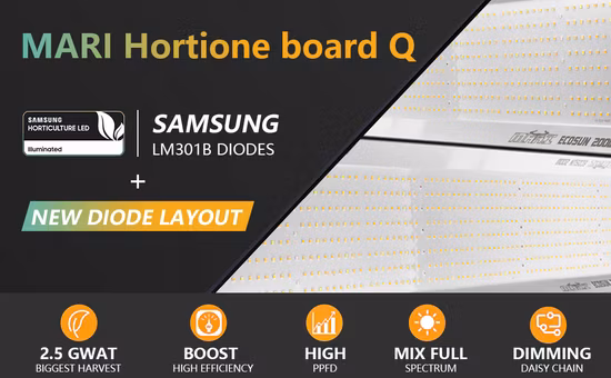 Hortione Quantum Board 200 W Smart Control Dimmbar High PAR/Best in Field LED Grow Light DLC-zugelassene Vollspektrum-Wirksamkeit bis zu 2,7 Umol/J