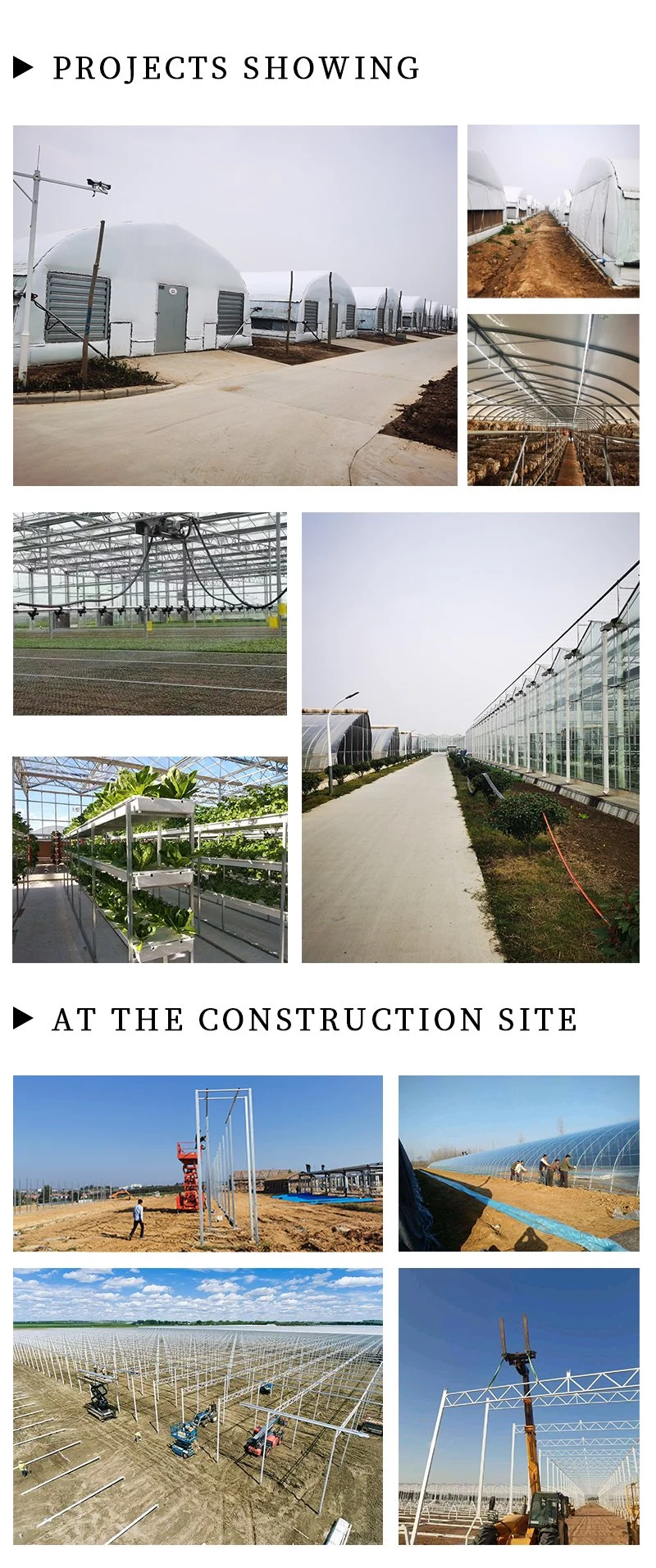 Strawberry Seedling Tray Nursery Tray Blue Greenhouses Equipments Strawberry Grow Tent