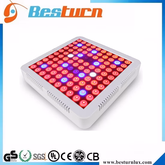 Lp Series 10 Full Spectrum Hydroponic Vertical Farming System Full Spectrum Flowering Bars LED Grow Light for Indoor Weed Medical Plant