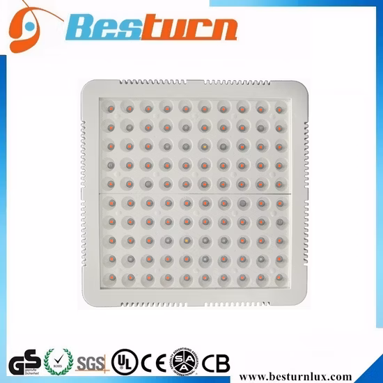 Lp Series 10 Full Spectrum Hydroponic Vertical Farming System Full Spectrum Flowering Bars LED Grow Light for Indoor Weed Medical Plant