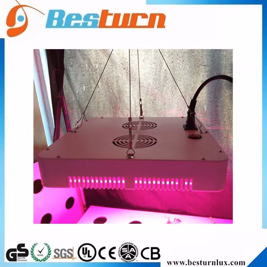 Lp Series 10 Full Spectrum Hydroponic Vertical Farming System Full Spectrum Flowering Bars LED Grow Light for Indoor Weed Medical Plant