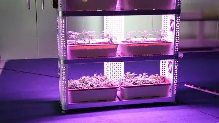Vertical Farming Hydroponic System Gewächshaus 35W 75W LED Grow Light