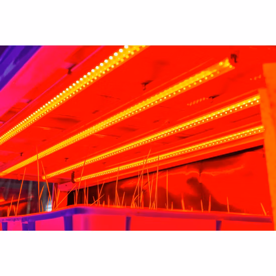 Hochwertige Premium-Hochleistungs-Gartenhaus-IP65-abstimmbare Hydrokultur-Beleuchtung für den Innenbereich, kommerzielle Lampe, Shenzhen, Vollspektrum-LED-Wachstumslicht für Zimmerpflanzen