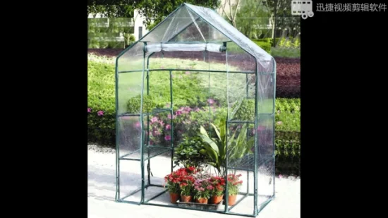 Mini-Pop-up-Gewächshaus mit durchsichtiger Abdeckung, geschütztes Pflanzenwachstumshaus, tragbares Blumenzelt, Unterstand für den Garten, den Außenbereich und den Hinterhof