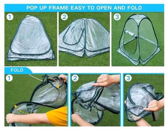 Mini-Pop-up-Gewächshaus mit durchsichtiger Abdeckung, geschütztes Pflanzenwachstumshaus, tragbares Blumenzelt, Unterstand für den Garten, den Außenbereich und den Hinterhof