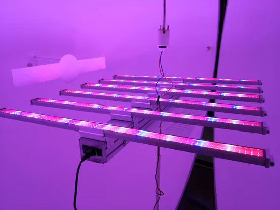 Quantum Board Vollspektrum 300 W/600 W/800 W/1000 W LED-Wachstumslicht für vertikale Landwirtschaft/medizinische Bepflanzung/Blüte/Fruchtbildung